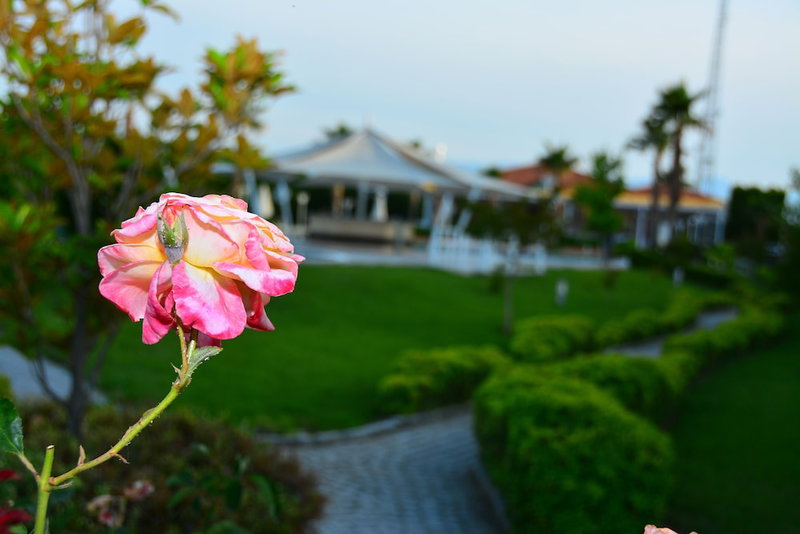 Tripolis Hotel, Merkezefendi, Turkey