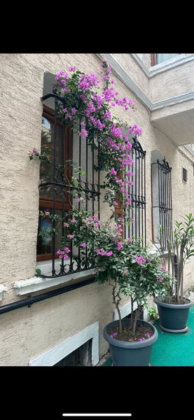 Hotel Orkide, Istanbul, Turquía