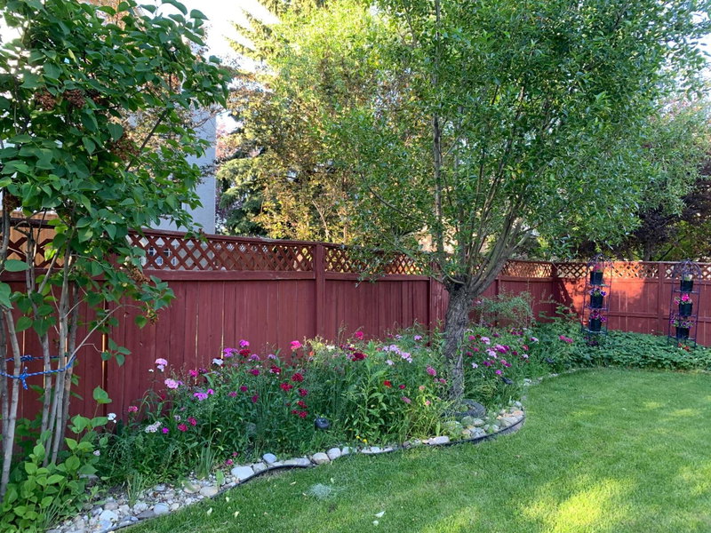 Brother Li Homestay, Calgary, Canada
