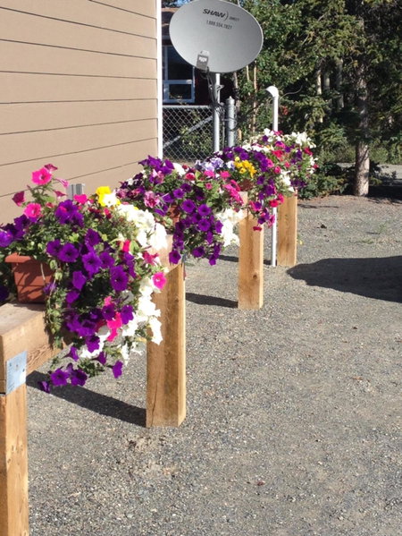 Parkside Inn, Haines Junction, Canada