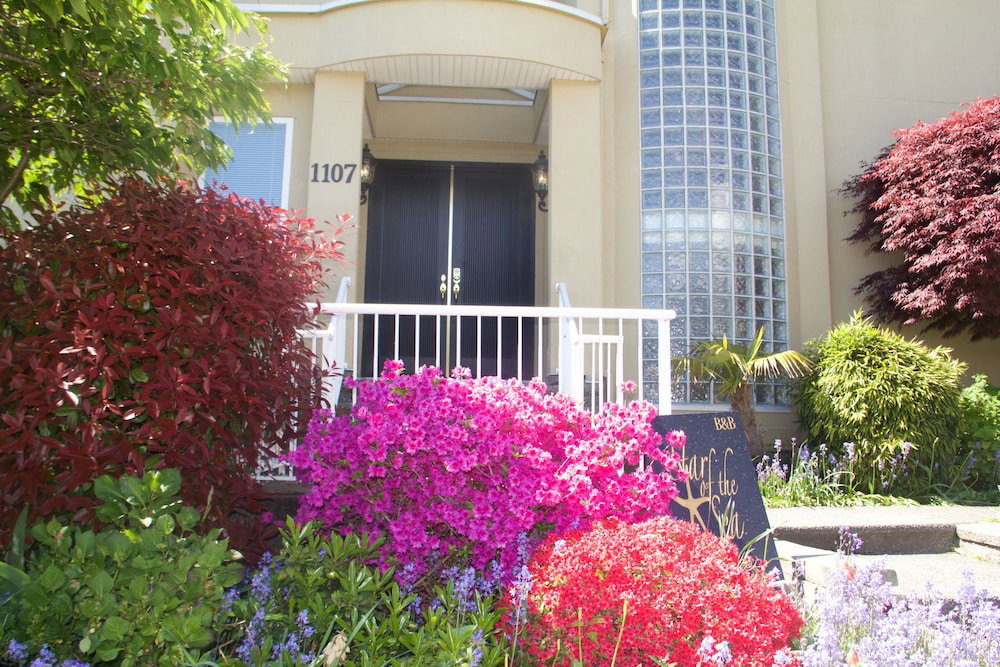 Hotel · Star of the Sea Guest House, White Rock
