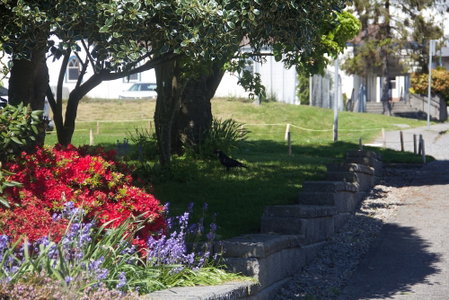 Star of the Sea Guest House, White Rock, Kanada