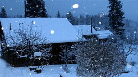 Nakiska Bear Ranch, Clearwater, Canada