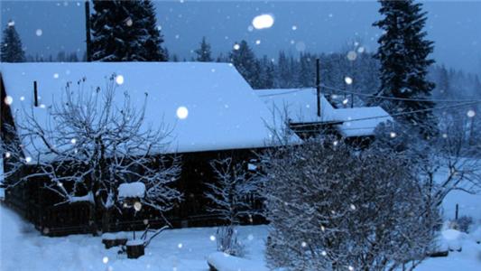 Nakiska Bear Ranch, Clearwater, Canada