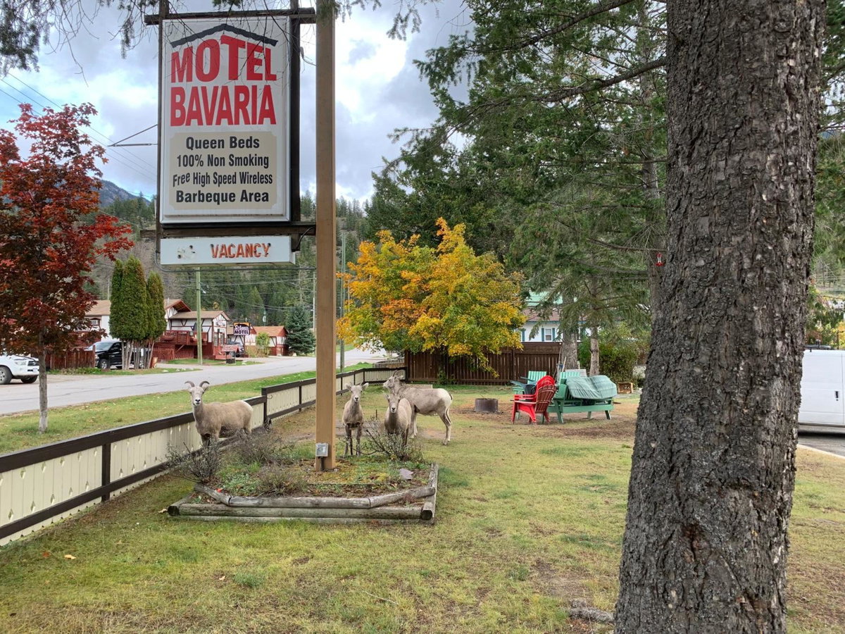 Motel Bavaria, Canada