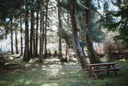 Port Hardy RV Resort, Port Hardy, Canada