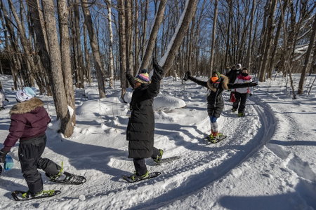 Blue Mountain Resort Inn, The Blue Mountains, Kanada