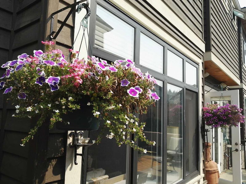 Sunny Island by White Rock B&B, Surrey, Kanada