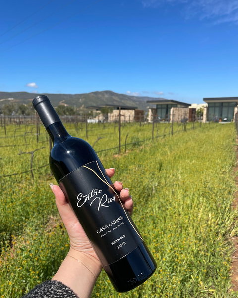 Casa Urbina Wine Resort, Valle de Guadalupe, México