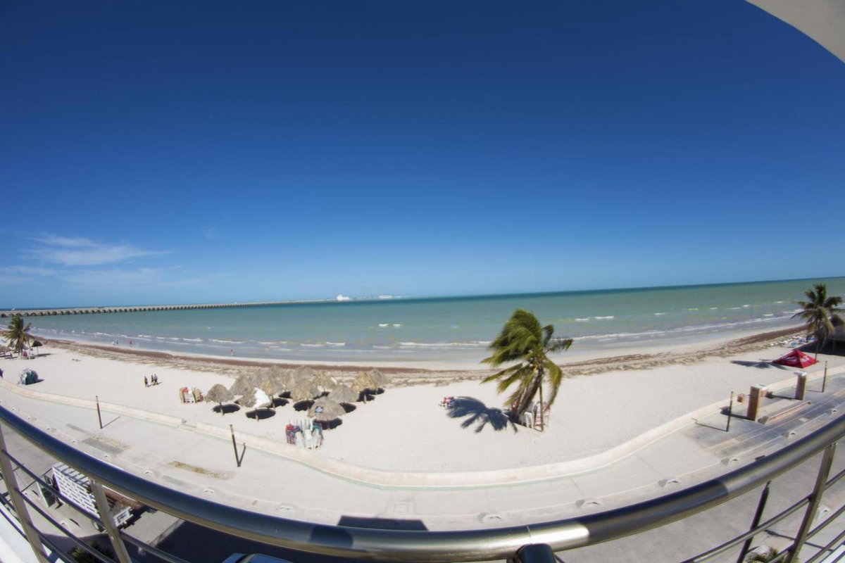 Hotel · Hotel & Suites Domani, Progreso