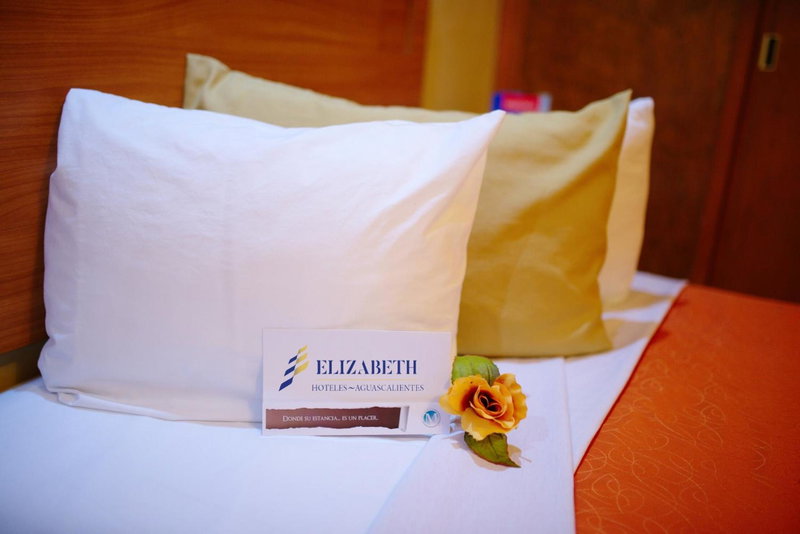 Hotel Elizabeth Ciudad Deportiva, Aguascalientes, Мексика