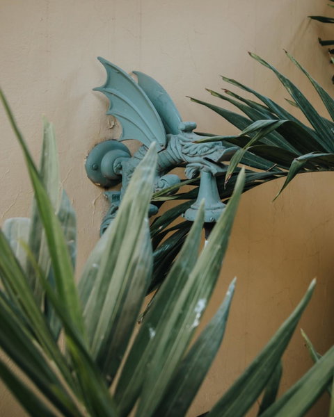 Casa Florida, San Miguel de Allende, Mexique