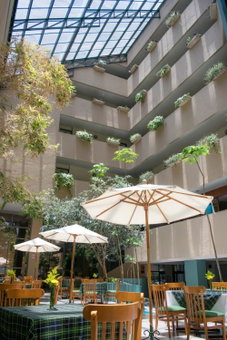 Hotel San Francisco, Toluca, Mexico
