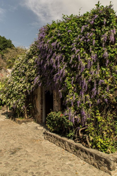 Hacienda San Gabriel de las Palmas, Puente de Ixtla, Mexico