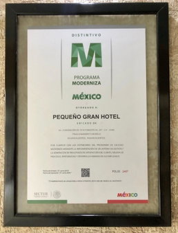 Pequeno Gran Hotel, Aguascalientes, Mexico