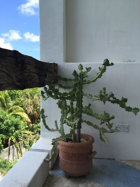Mi Casa en Cozumel, Cozumel, Mexiko