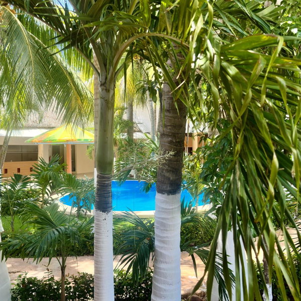 Hotel Barranquilla, Campeche, Mexique