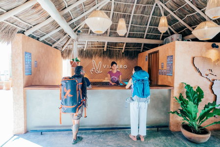 Viajero Sayulita Hostel, Sayulita, México