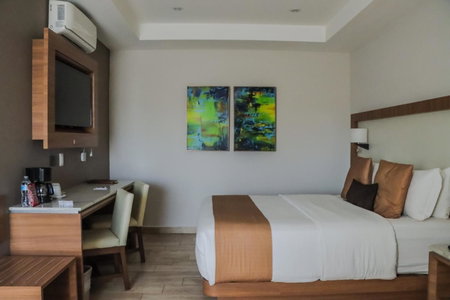 Hotel Soleil Business Class, León, Mexique