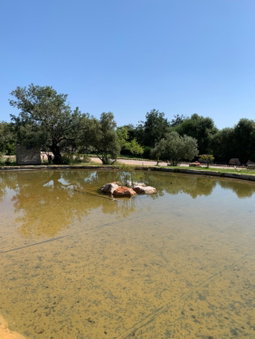 Casa Branca Turismo Rural, Tavira, Portugal