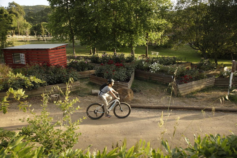Herdade da Matinha Country House & Restaurant, Cercal, Португалия