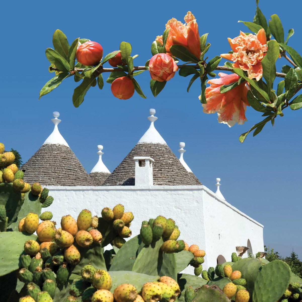 Hôtel · Hotel Don Ferrante, Monopoli