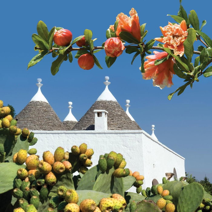 Hotel Don Ferrante, Monopoli, Italien