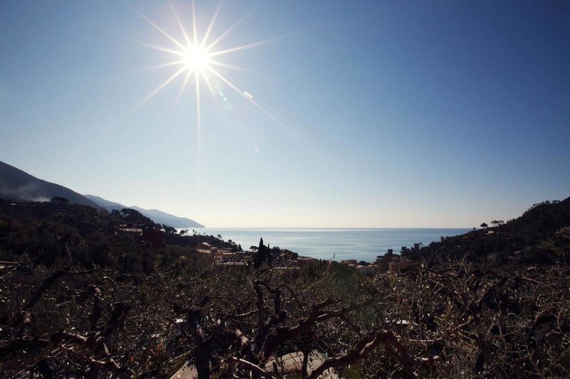 B&B Il Parco, La Spezia, Italy