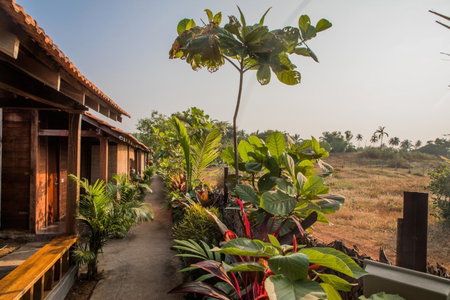 The Artist Cottages, Morjim, India