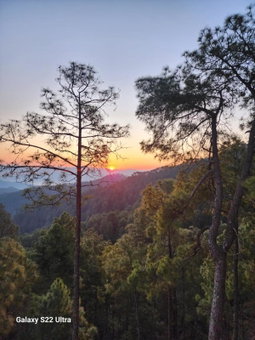 Nandini Cottage, A premium boutique Homestay, Almora, India