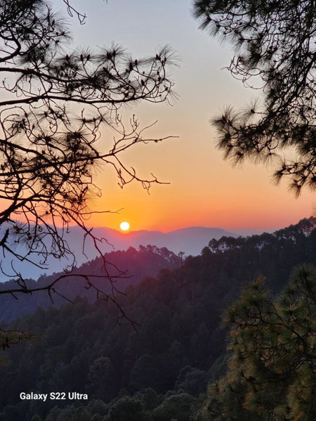 Nandini Cottage, A premium boutique Homestay, Almora, India