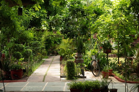 The Mandore - a leafy resort, Jodhpur, India