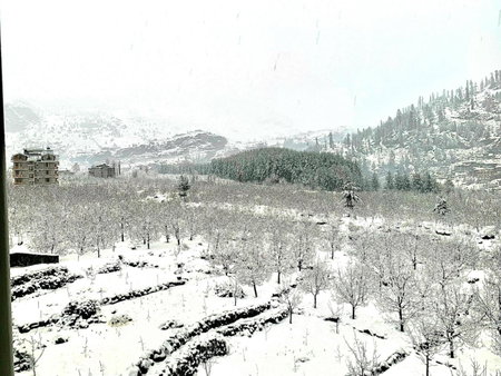 La Aero Resort Home in Snow Mountains, Manāli, Inde