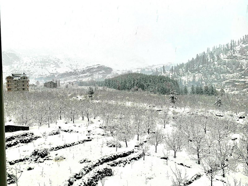 La Aero Resort Home in Snow Mountains, Manāli, Inde