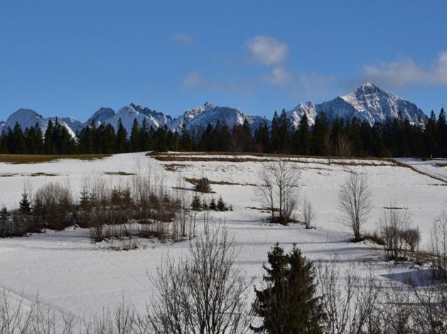 Na ubocy, Zakopane, Poland