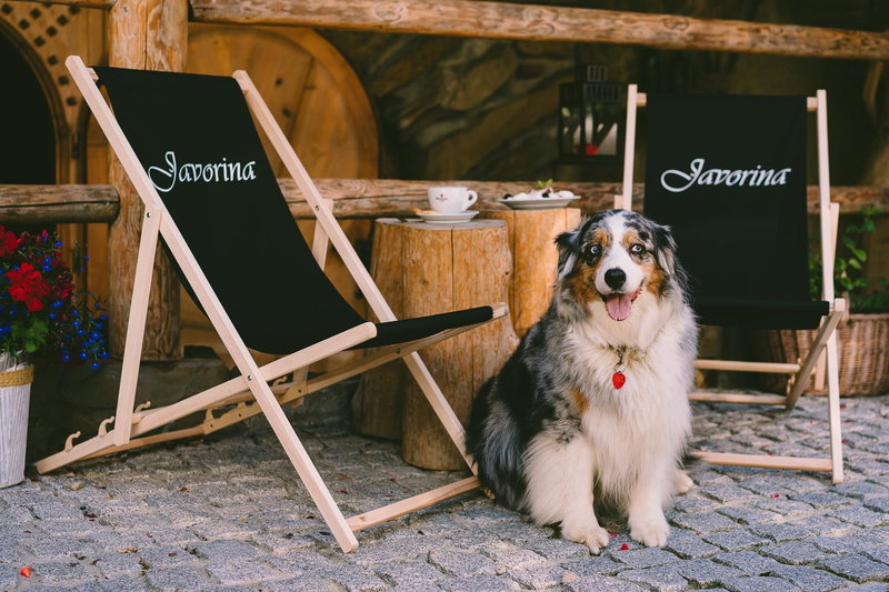 Domki Javorina, Zakopane, Polen