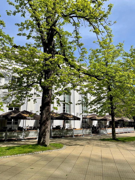 Rezydencja Bohema, Szczawno-Zdrój, Pologne