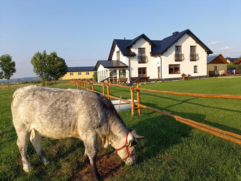 Zagroda na Borach, Jabłonka, Poland