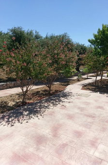 Eleni Hotel, Kos, Greece