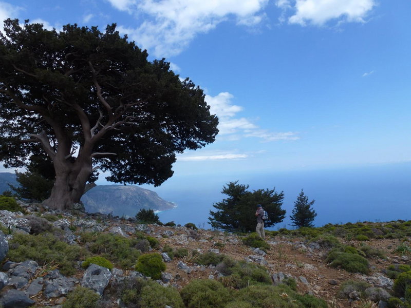 Calypso, Agia Roumeli, Greece