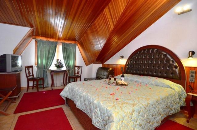Hotel Apollon, Metsovo, Grecia