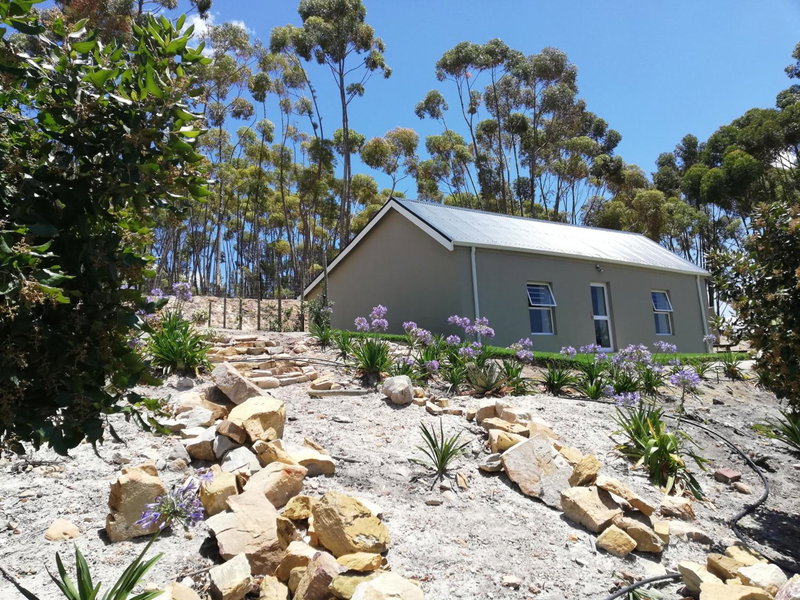 Treyntjes Rivier Cottages, Hermanus, South Africa