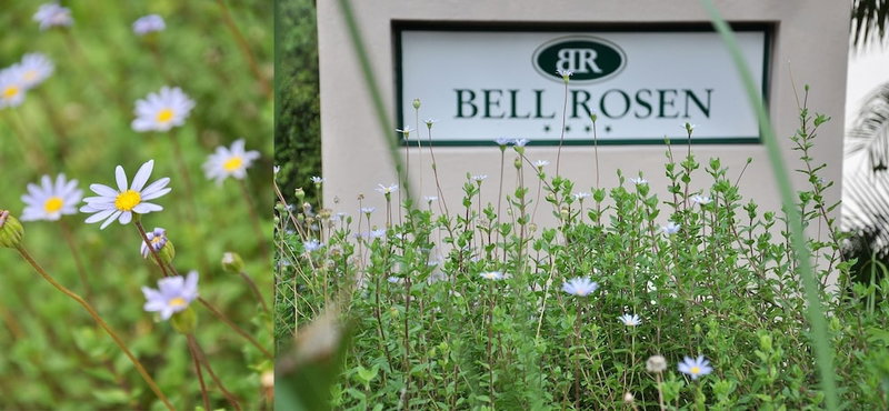 Bell Rosen Guesthouse, Cape Town, South Africa