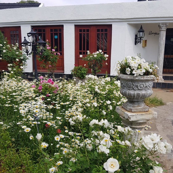 Lamon Guesthouse, Kroonstad, South Africa