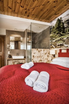 schaus Lüftenegger - Apart-Zirbenpension, Mauterndorf, Austria