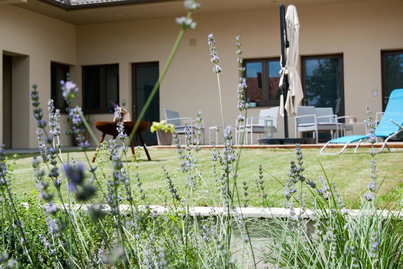 Sabines Apartments Ferienwohnungen, Frauenkirchen, Austria