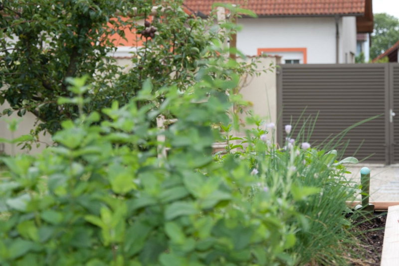 Sabines Apartments Ferienwohnungen, Frauenkirchen, Austria