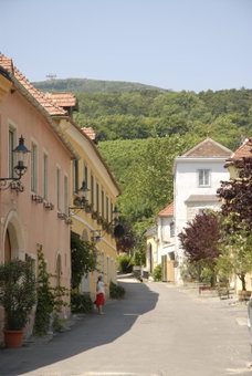 Winzerhotel Gumpoldskirchen, Gumpoldskirchen, Austria