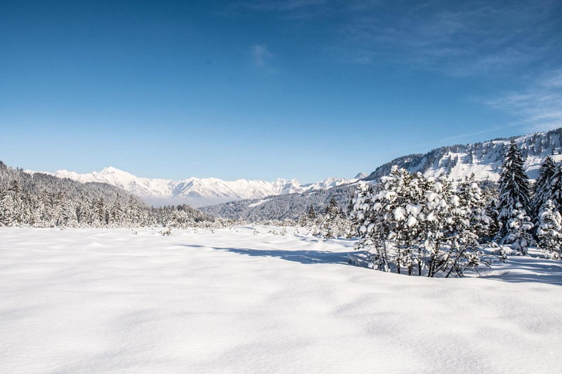 Alpengasthof Hörnlepass GmbH, Riezlern, Austria