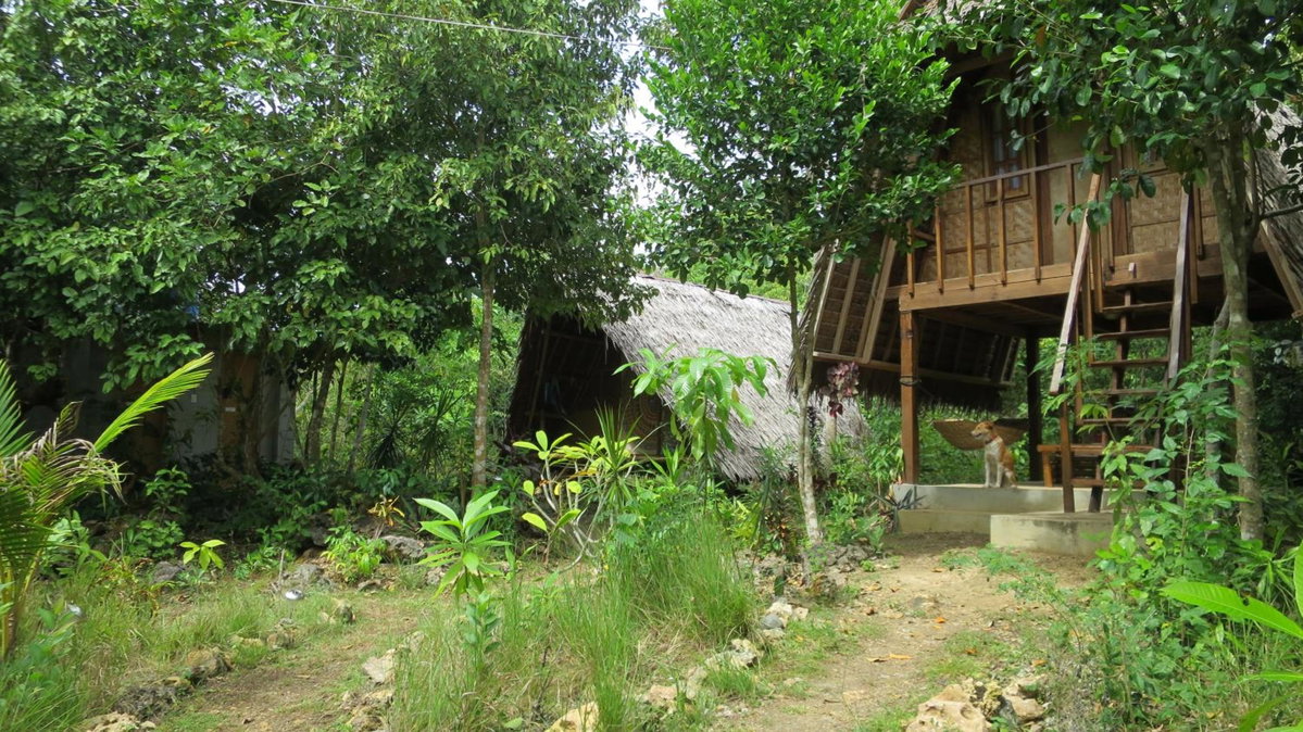 Lazy Lizard Hostel, Philippinen